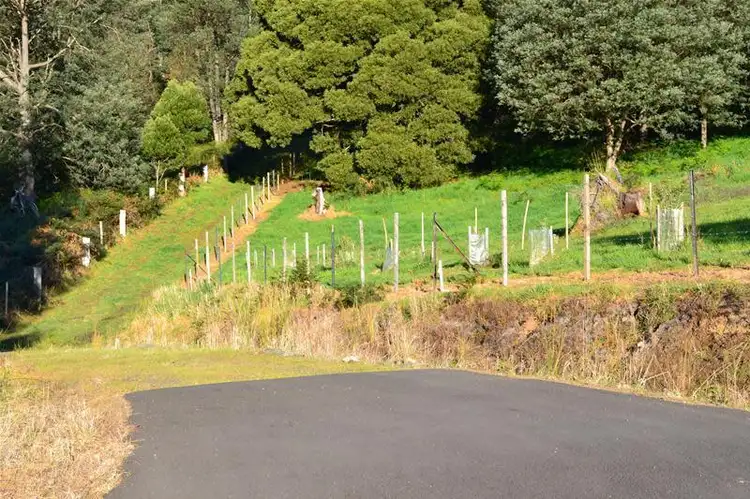 Fifth view of Homely land listing, 1219 Pelverata Road, Pelverata TAS 7150