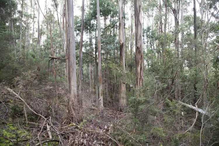 Main view of Homely land listing, 202760/1 Watsons Road, Kettering TAS 7155
