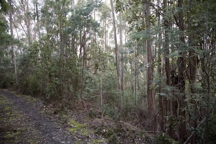Fifth view of Homely land listing, 202760/1 Watsons Road, Kettering TAS 7155