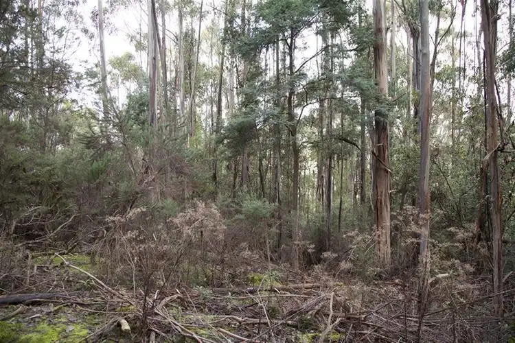 Sixth view of Homely land listing, 202760/1 Watsons Road, Kettering TAS 7155