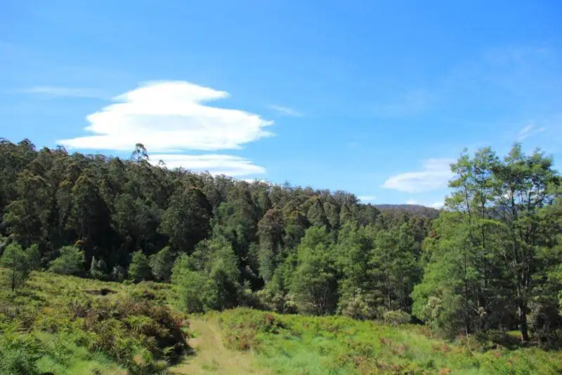 Main view of Homely land listing, Tobys Hill Road, Cygnet TAS 7112