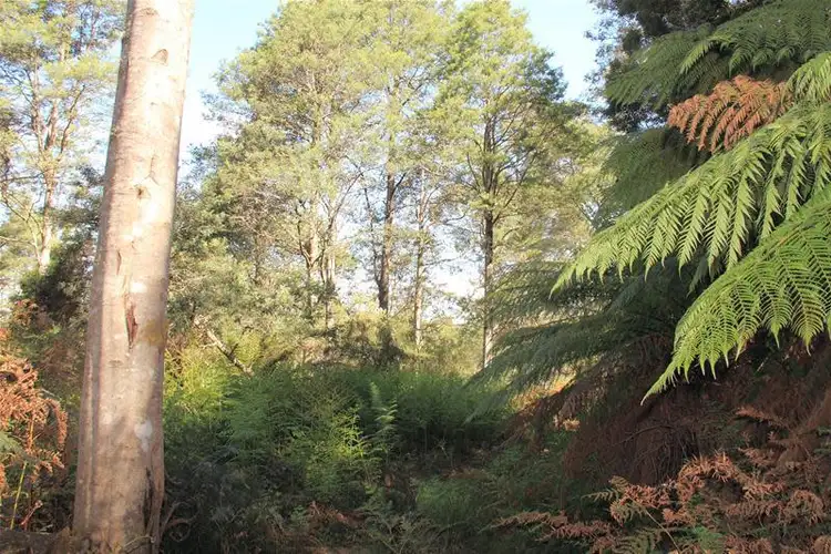 Fourth view of Homely land listing, Tobys Hill Road, Cygnet TAS 7112