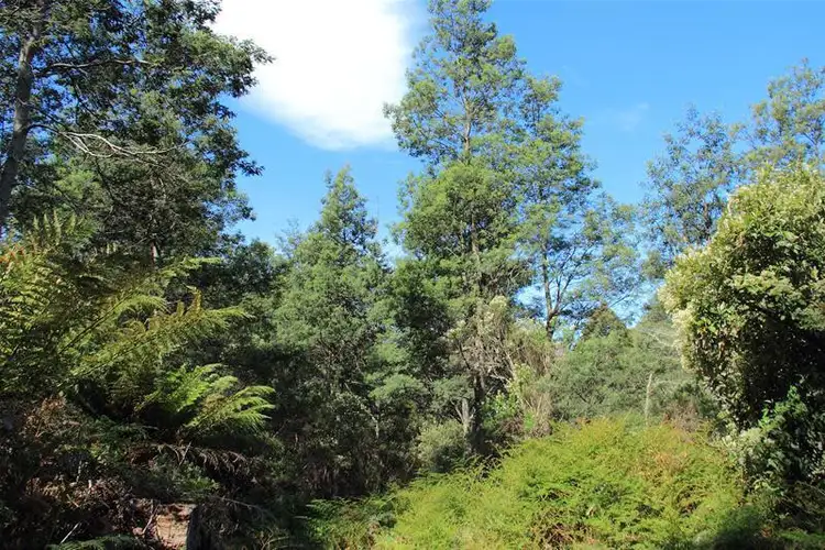 Fifth view of Homely land listing, Tobys Hill Road, Cygnet TAS 7112