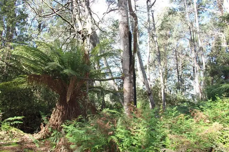 Sixth view of Homely land listing, Tobys Hill Road, Cygnet TAS 7112