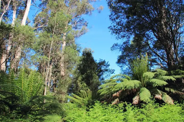 Seventh view of Homely land listing, Tobys Hill Road, Cygnet TAS 7112