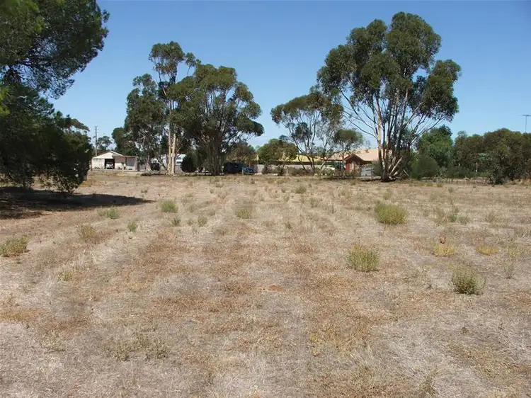 Main view of Homely land listing, 293 Curio Road, Cambrai SA 5353