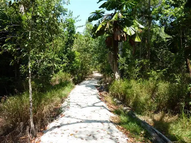 Sixth view of Homely land listing, LOT Lot 112/Lot 112 Coral Close, Mission Beach QLD 4852