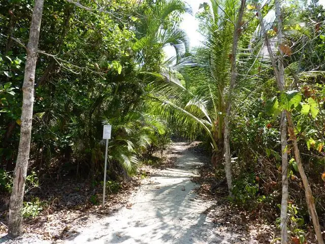 Seventh view of Homely land listing, LOT Lot 112/Lot 112 Coral Close, Mission Beach QLD 4852