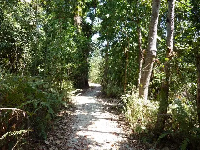 Third view of Homely land listing, LOT 101/1 Coral Close, Mission Beach QLD 4852