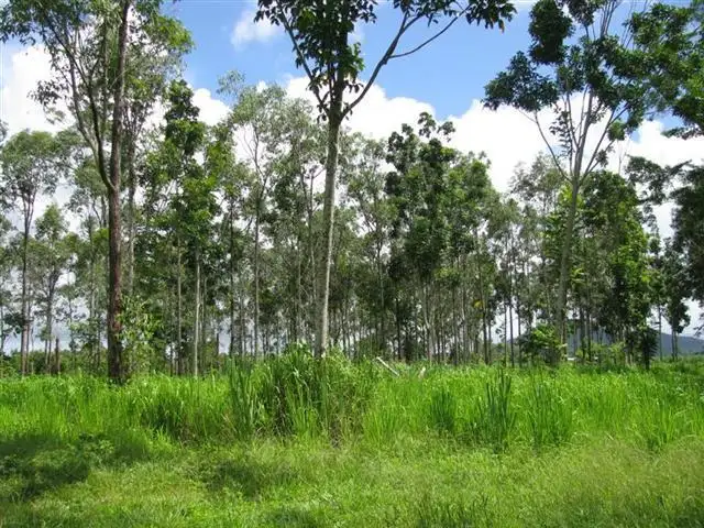 Main view of Homely land listing, LOT 2/2 Crupi Road, El Arish QLD 4855