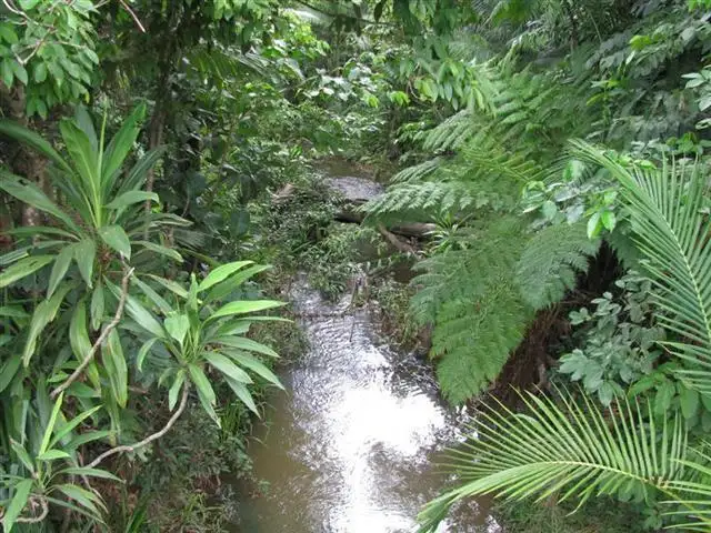 Third view of Homely land listing, LOT 2/2 Crupi Road, El Arish QLD 4855