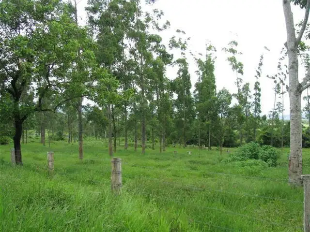 Fifth view of Homely land listing, LOT 2/2 Crupi Road, El Arish QLD 4855