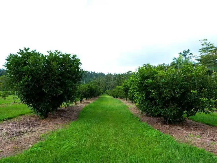 LOT 1/463 East Feluga Road, East Feluga QLD 4854