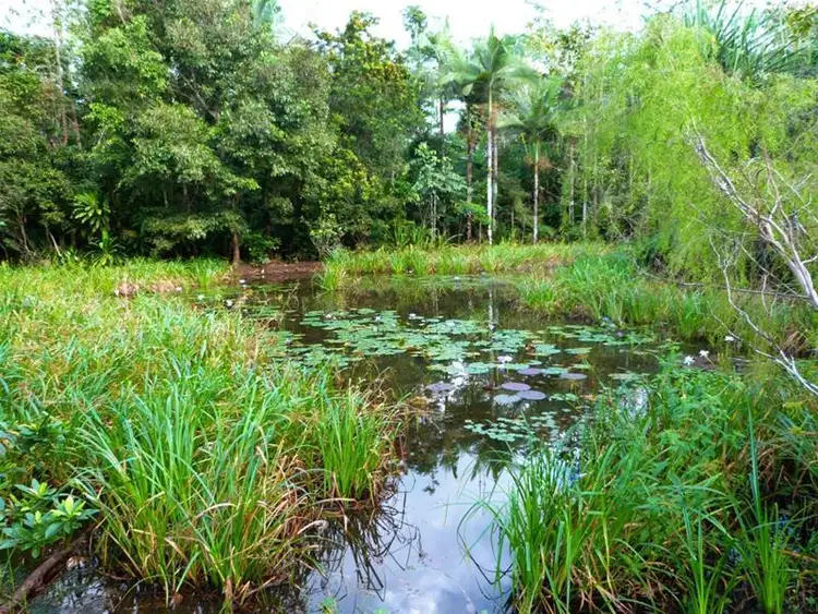 Second view of Homely land listing, LOT 1/463 East Feluga Road, East Feluga QLD 4854