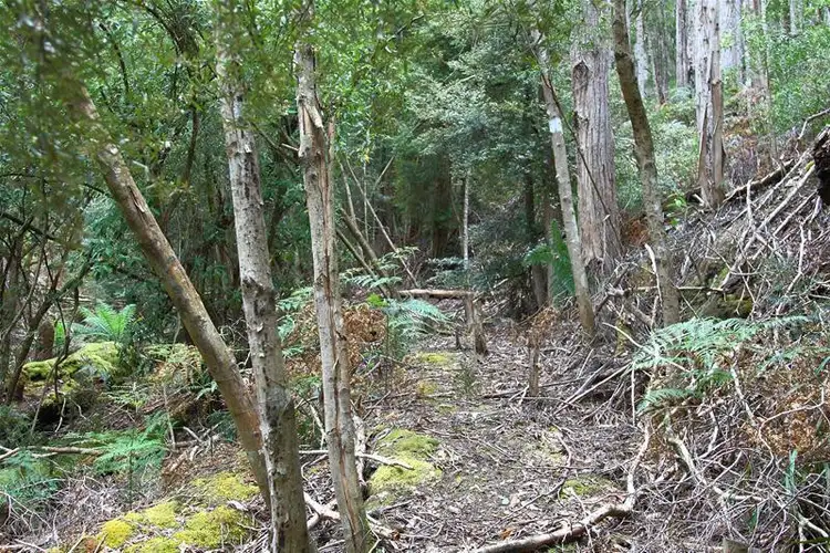 Seventh view of Homely land listing, 204 Ayres Road, Ranelagh TAS 7109