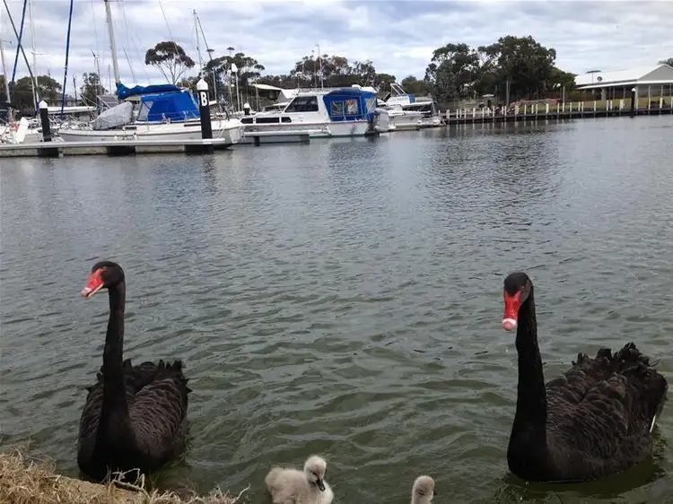 Fourth view of Homely land listing, 104 Sanctuary Road, Loch Sport VIC 3851