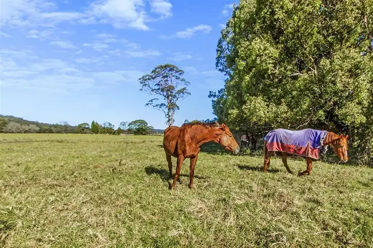 Seventh view of Homely land listing, 351 Jilliby Road, Jilliby NSW 2259