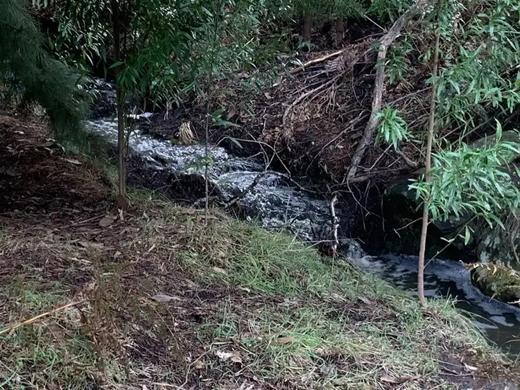 Seventh view of Homely land listing, 24 Lavender Lane, Dover TAS 7117