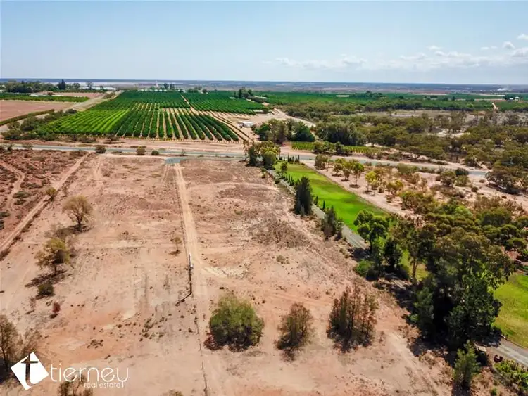 Seventh view of Homely land listing, 1298 River Road, Buronga NSW 2739