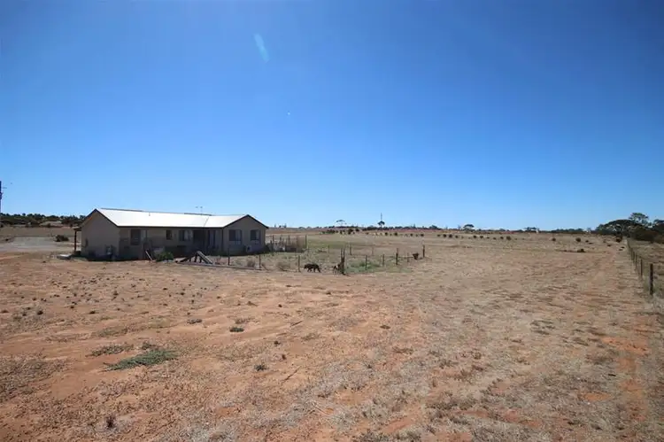 Second view of Homely rural property listing, 19 Ibis Drive, Mannum SA 5238