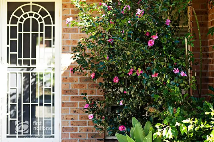 Second view of Homely house listing, 42 Argyll Crescent, Edgeworth NSW 2285