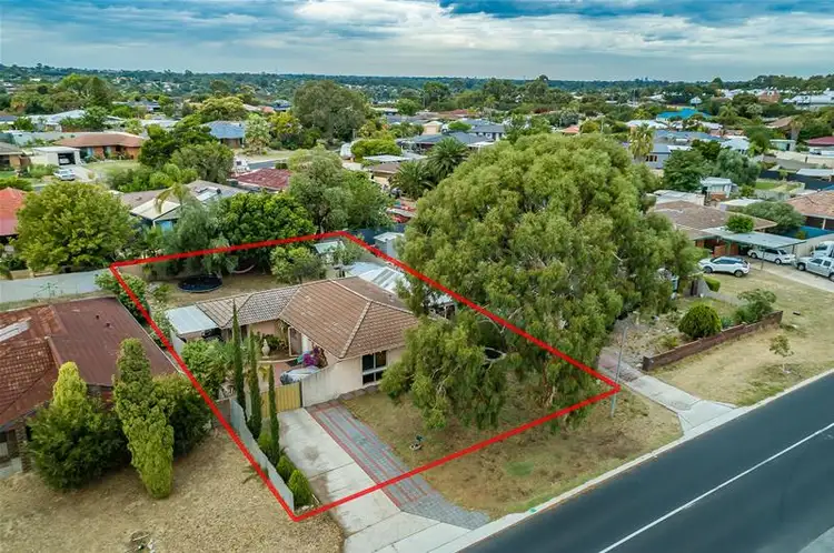 Main view of Homely house listing, 24 Admiral Grove, Heathridge WA 6027