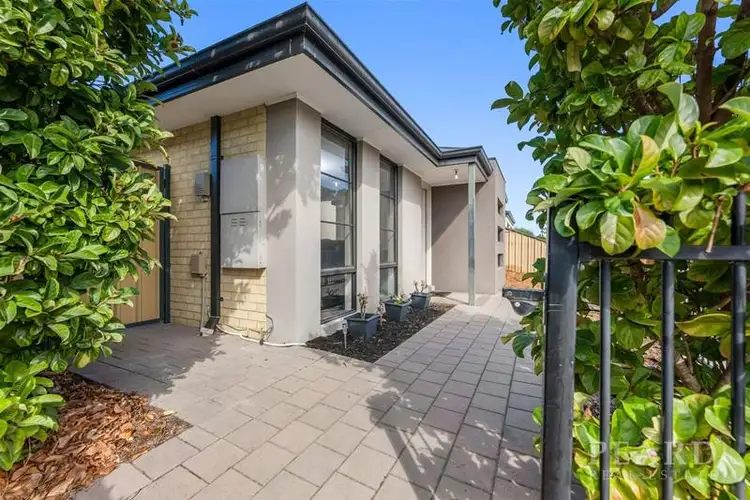 Main view of Homely house listing, 18 Kalbarri Avenue, Yanchep WA 6035