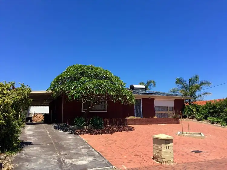 Second view of Homely house listing, 53 Seaflower Crescent, Craigie WA 6025