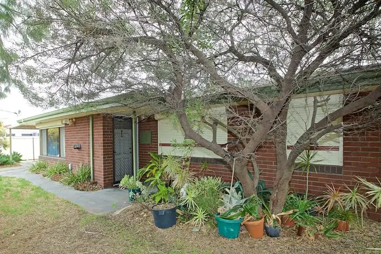 Main view of Homely house listing, 36 Mandalay Place, Craigie WA 6025