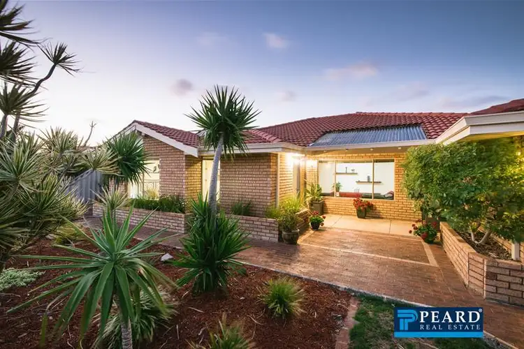 Main view of Homely house listing, 34 Pinnaroo Drive, Padbury WA 6025