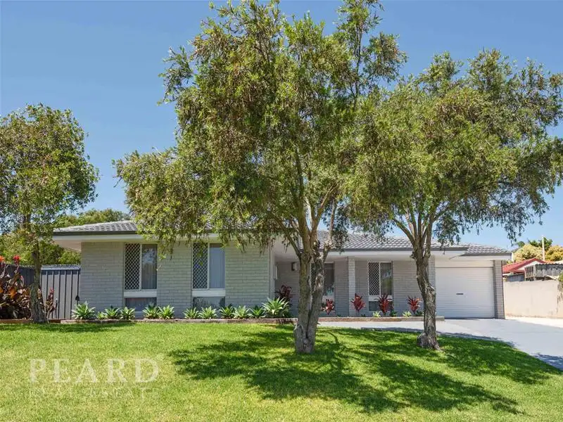 Main view of Homely house listing, 70 Civic Drive, Wanneroo WA 6065