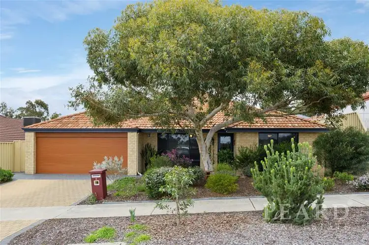 6 Overbeck Street, Ashby WA 6065
