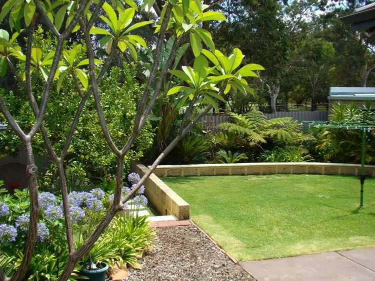 Fifth view of Homely house listing, 29 Campsbourne Street, Balcatta WA 6021