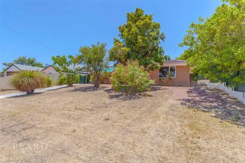 Main view of Homely house listing, 43 Camberwarra Drive, Craigie WA 6025