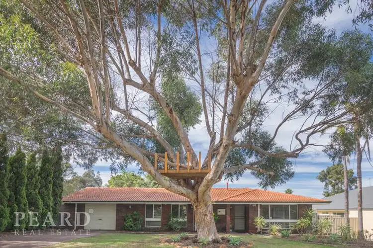 28 Turramurra Way, Greenwood WA 6024