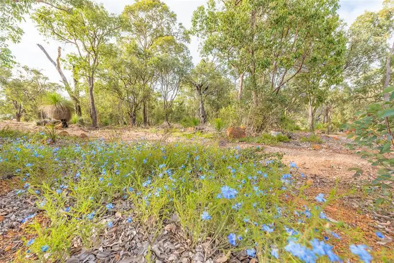 Main view of Homely land listing, 304 Leschenaultia Drive, Chittering WA 6084