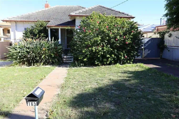 Main view of Homely house listing, 165 Flamborough Street, Doubleview WA 6018