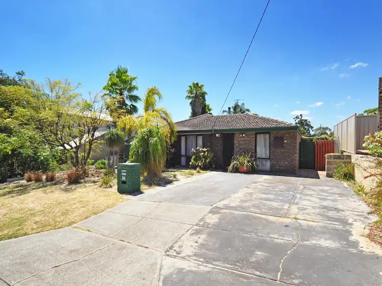 Main view of Homely house listing, 36 Fenellia Crescent, Craigie WA 6025