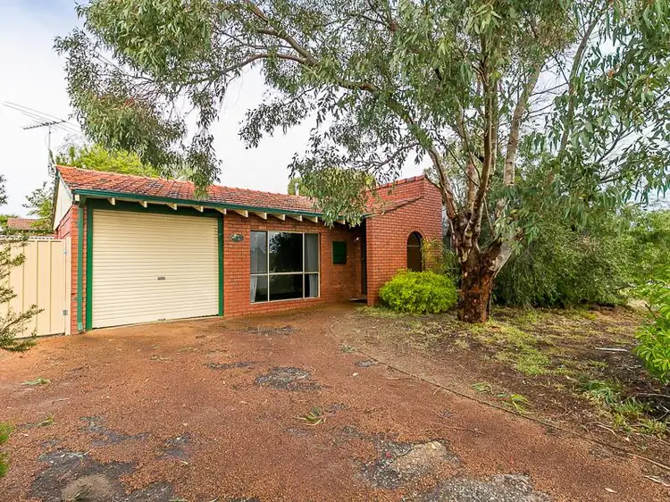 36 Macquarie Avenue, Padbury WA 6025