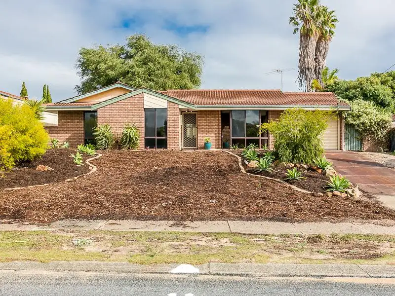 Main view of Homely house listing, 193 Gibson Avenue, Padbury WA 6025