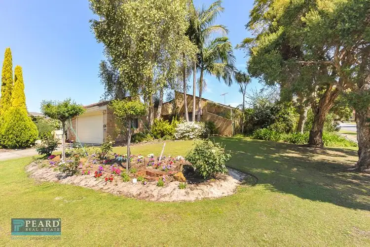 Main view of Homely house listing, 55 Greenpark Road, Alexander Heights WA 6064