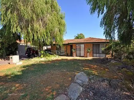 Main view of Homely house listing, 60 Pinnaroo Drive, Padbury WA 6025