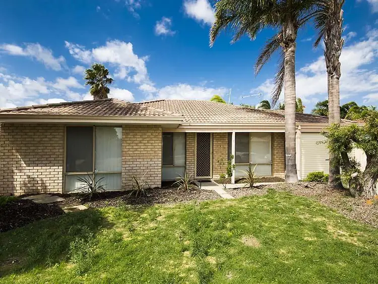 Main view of Homely house listing, 3 Silver Grove, Warnbro WA 6169