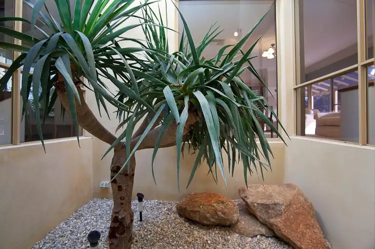 Main view of Homely house listing, 60 Chessell Drive, Duncraig WA 6023