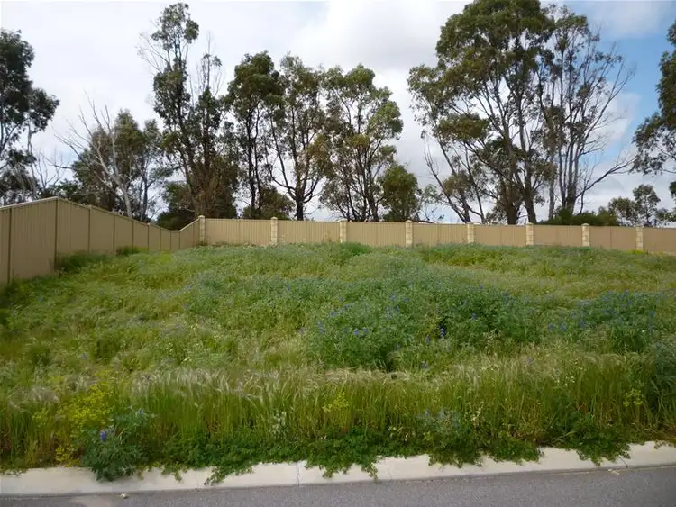 Second view of Homely house listing, 28 Aachen Crescent, Gwelup WA 6018