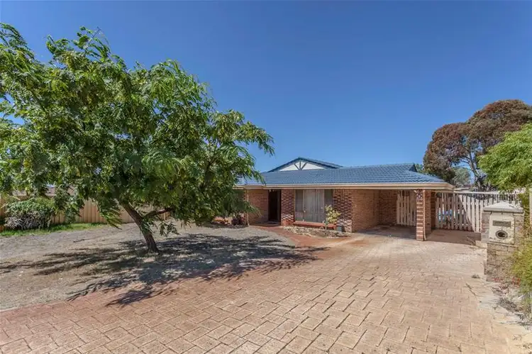 Main view of Homely house listing, 3 Milton Court, Beldon WA 6027
