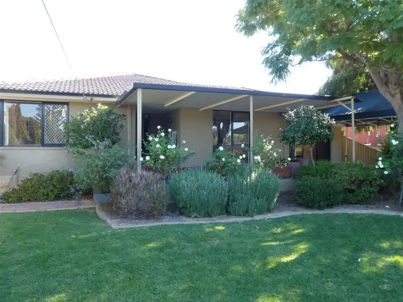 Main view of Homely house listing, 3 Bertal Way, Balcatta WA 6021