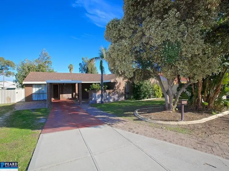 3 Cohn Place, Hillarys WA 6025