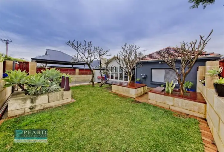 252 Woodside Street, Doubleview WA 6018