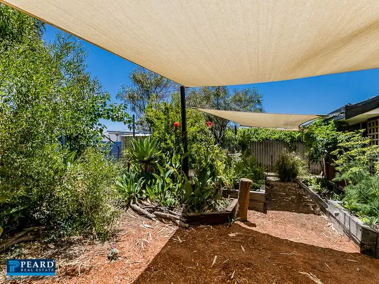 Sixth view of Homely house listing, 35 Macleay Drive, Padbury WA 6025